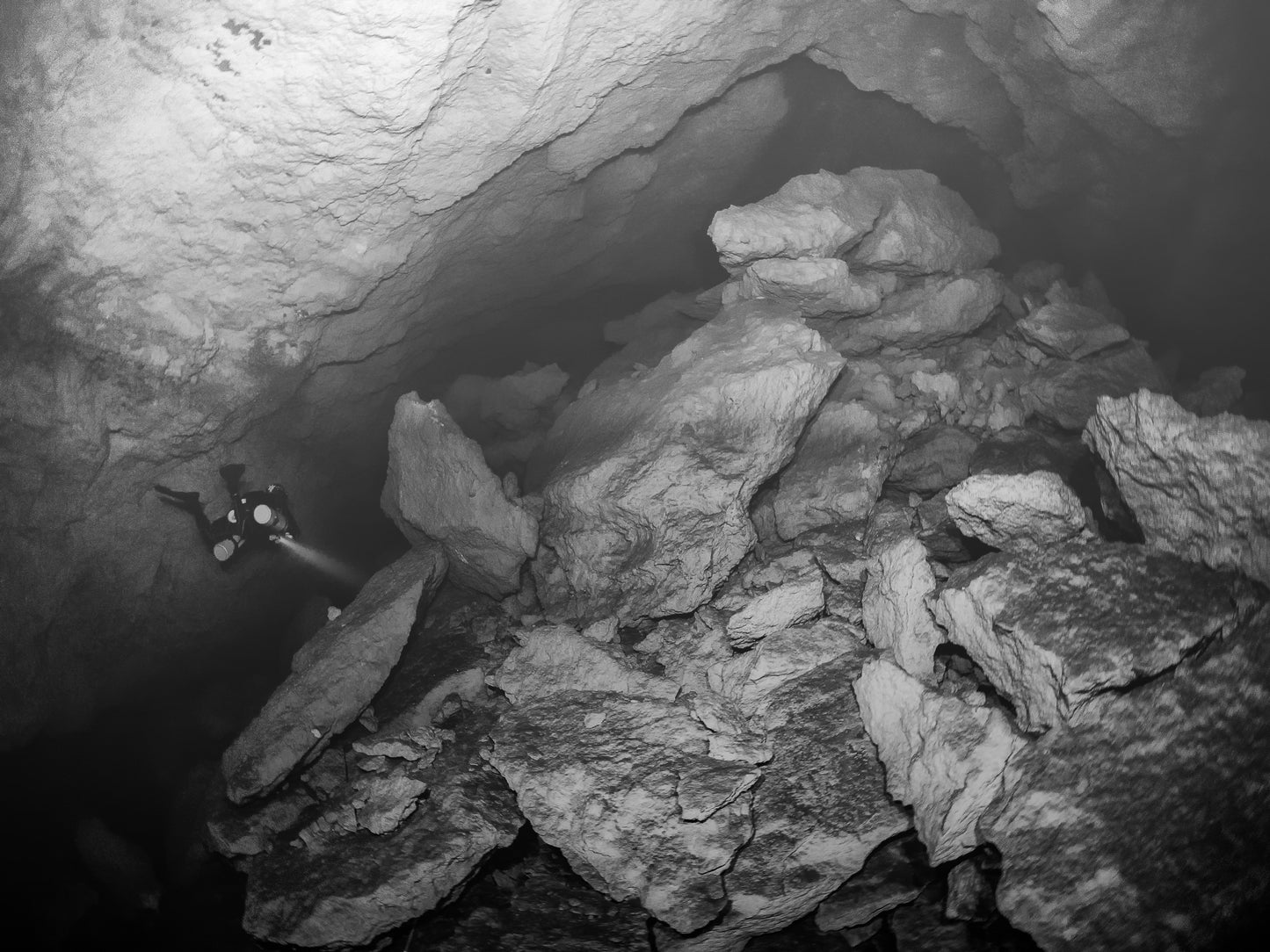 Photo Credit - Lauren Tabata